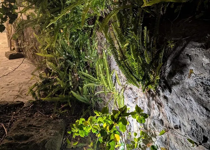 Апартаменты Vulcanica - Boutique Suites In Furnas Sao Miguel *